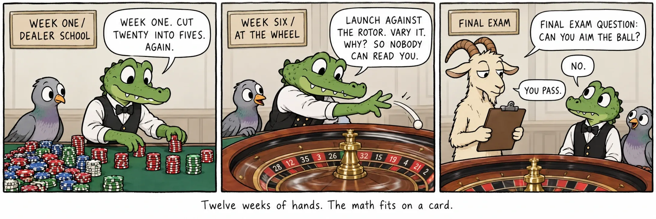 Dvanáct týdnů rukou. Matematika se vejde na kartičku.